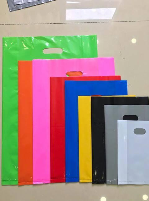 In logo túi bóng độc đáo thu hút mọi ánh nhìn 2 Túi Hột Xoài (PE, PP, HD) – Lựa Chọn Hàng Đầu Cho Doanh Nghiệp