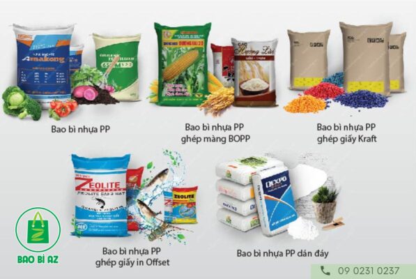 bao pp det 1