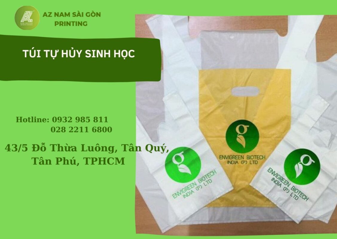 cac kieu tui nilon thong dung hien nay va cho in tui nilon gia re theo yeu cau tai tp hcm 4