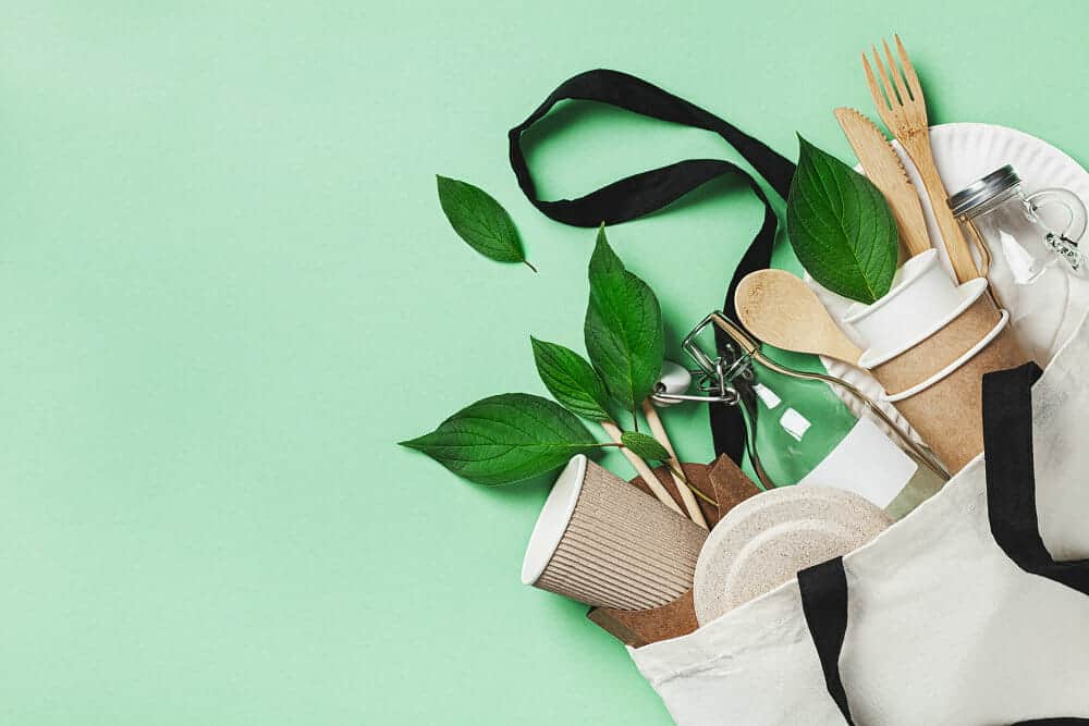 Biodegradable là gì? Giải mã khái niệm và phân biệt 4 Giá Trị Vượt Trội Của Sản Phẩm Biodegradable