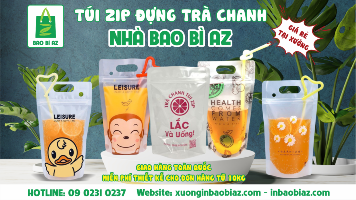 in tui tra chanh gia re nhat thi truong