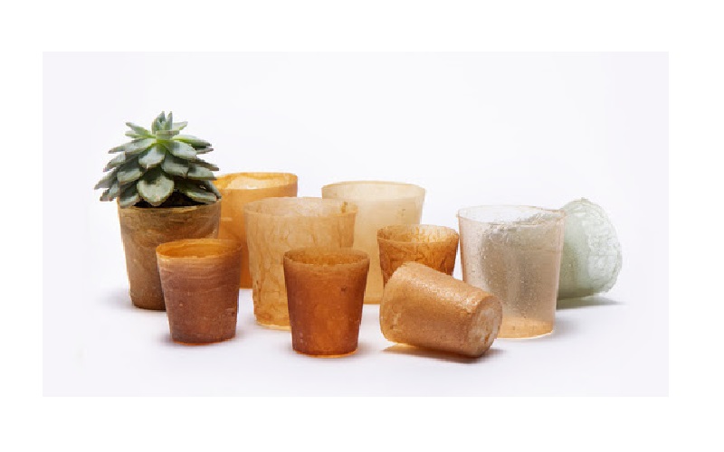 Compostable là gì và những điều cần biết về nhựa phân hủy sinh học 1 Bức tranh toàn cảnh về ngành công nghiệp nhựa hiện đại