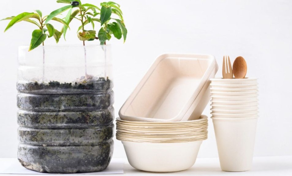 Nhựa sinh học là gì và 3 nhóm vật liệu phổ biến nhất hiện nay 1 Định nghĩa về vật liệu nhựa sinh học