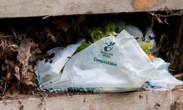 Compostable là gì và những điều cần biết về nhựa phân hủy sinh học 2 Giải mã tiêu chuẩn Compostable cho nhựa phân hủy