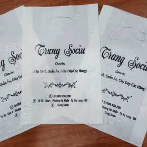 In túi shop thời trang: Giải pháp in ấn đa sắc, bền đẹp, giá xưởng