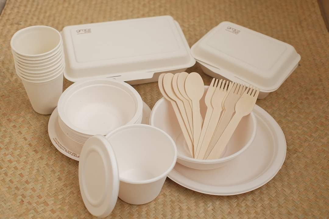 Nhựa sinh học là gì và những điều cần biết về Bioplastics 2 Sự khác biệt cốt lõi: Nguồn gốc không đồng nghĩa với khả năng phân hủy