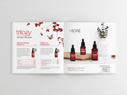 Thiết kế brochure mỹ phẩm chuyên nghiệp giúp thu hút khách hàng hiệu quả