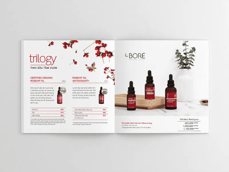 Thiết kế brochure mỹ phẩm chuyên nghiệp giúp thu hút khách hàng hiệu quả 4 Tối ưu hiệu quả sử dụng brochure trong chiến lược kinh doanh